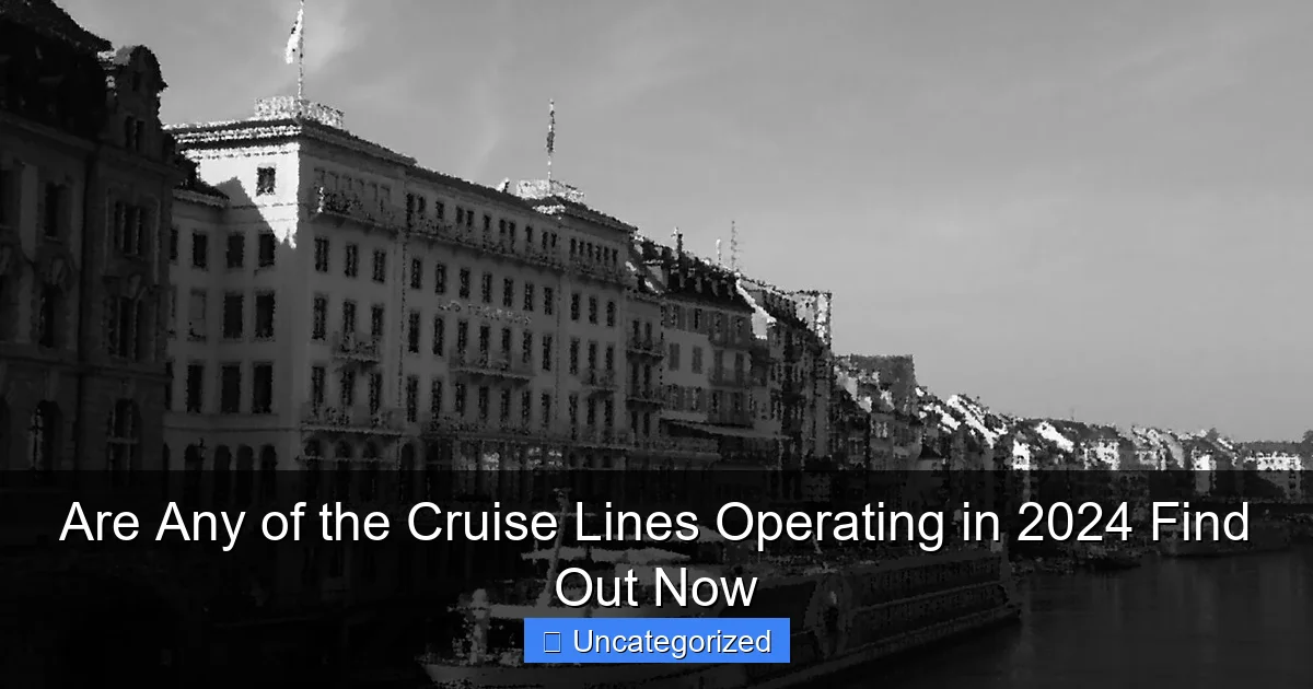 Are Any of the Cruise Lines Operating in 2024 Find Out Now