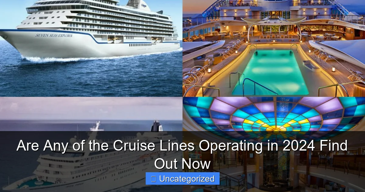 Are Any of the Cruise Lines Operating in 2024 Find Out Now
