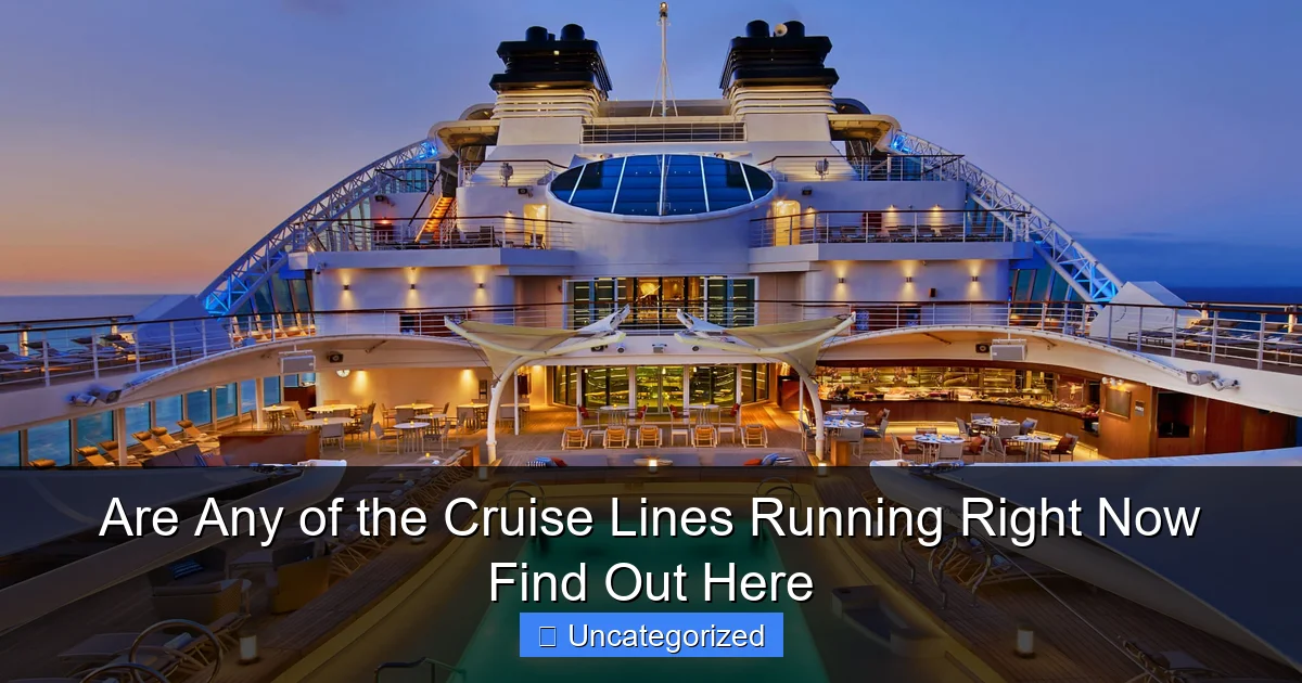 Are Any of the Cruise Lines Running Right Now Find Out Here