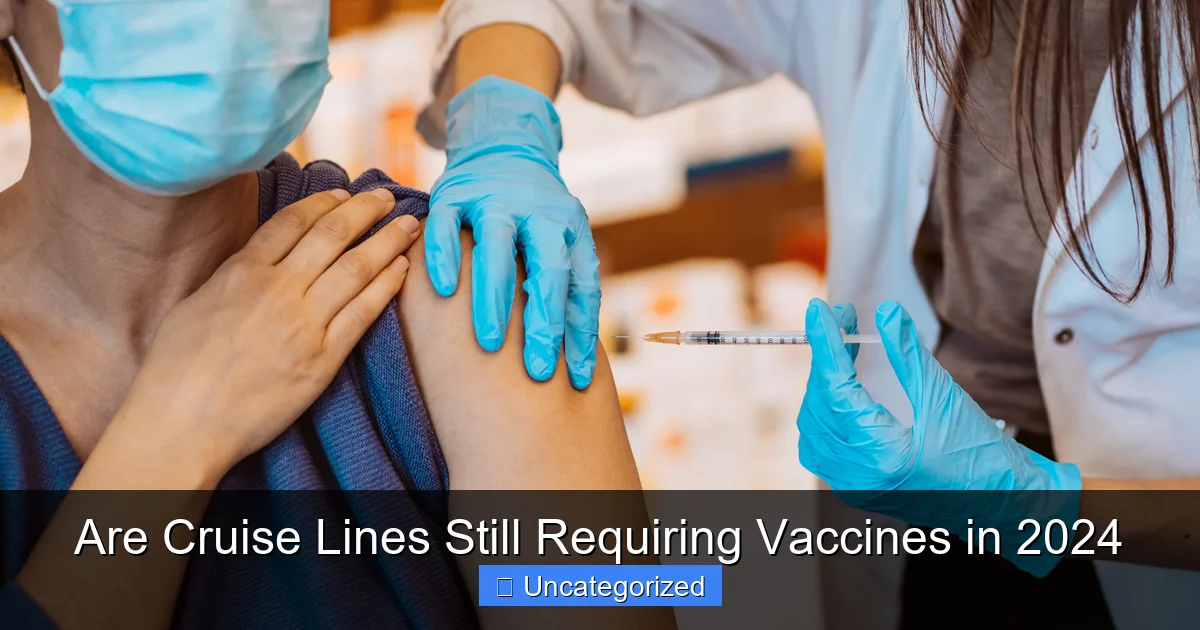 Are Cruise Lines Still Requiring Vaccines in 2024
