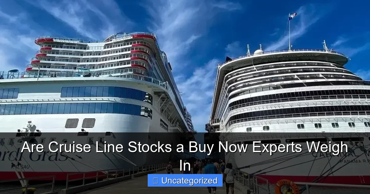 Are Cruise Line Stocks a Buy Now Experts Weigh In