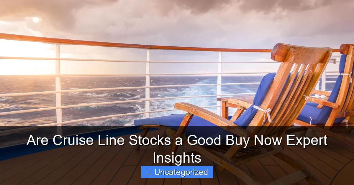 Are Cruise Line Stocks a Good Buy Now Expert Insights