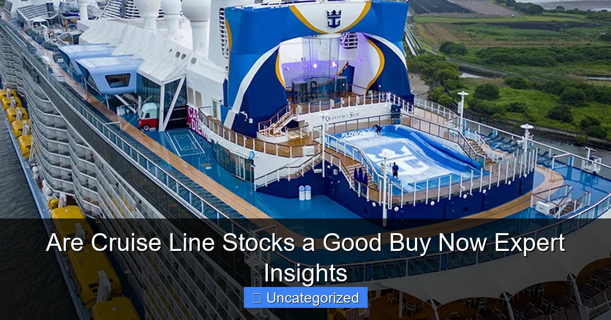 Are Cruise Line Stocks a Good Buy Now Expert Insights