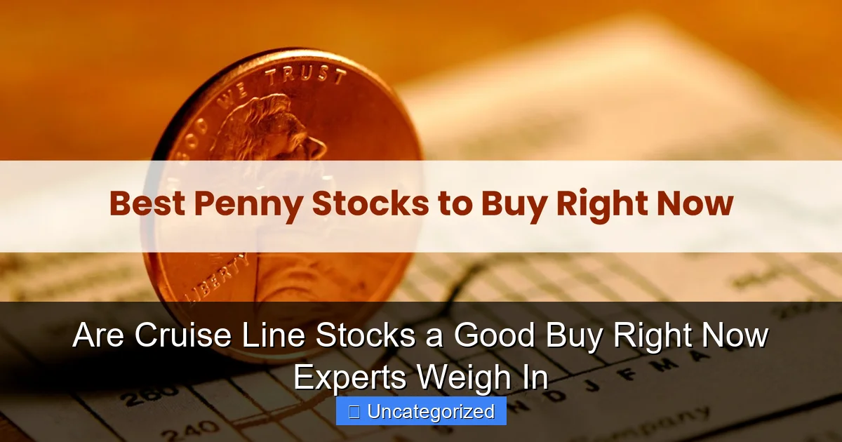 Are Cruise Line Stocks a Good Buy Right Now Experts Weigh In