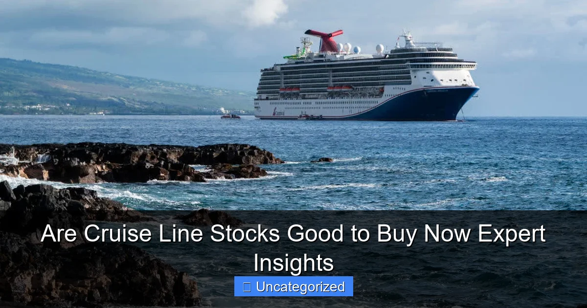 Are Cruise Line Stocks Good to Buy Now Expert Insights