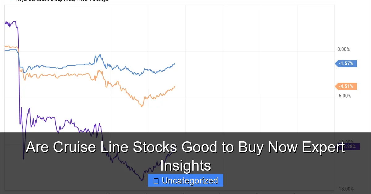 Are Cruise Line Stocks Good to Buy Now Expert Insights