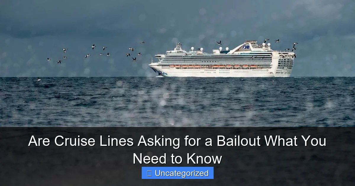 Are Cruise Lines Asking for a Bailout What You Need to Know