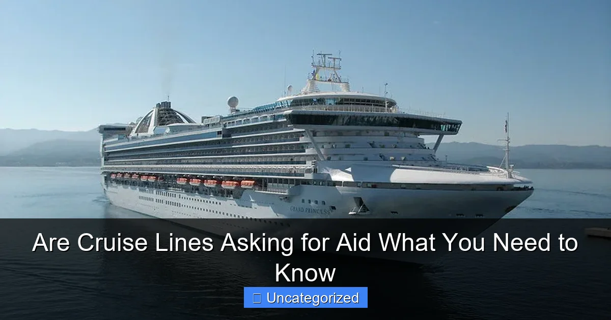Are Cruise Lines Asking for Aid What You Need to Know