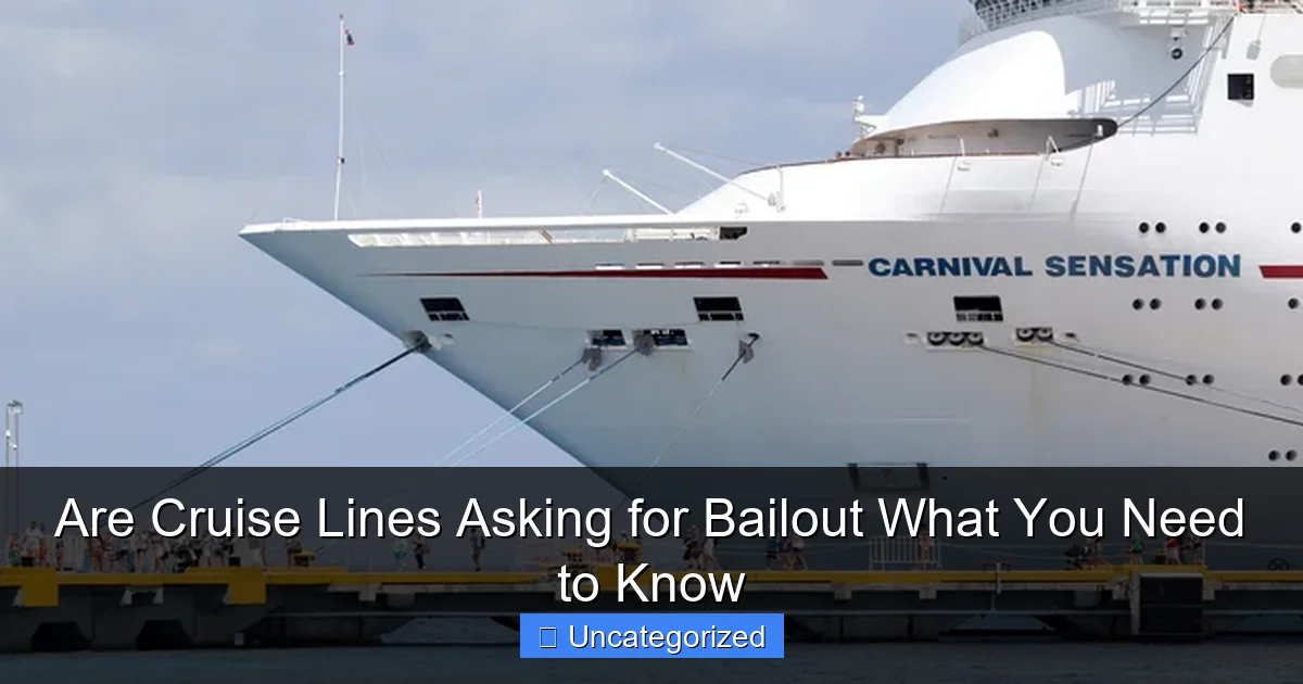 Are Cruise Lines Asking for Bailout What You Need to Know