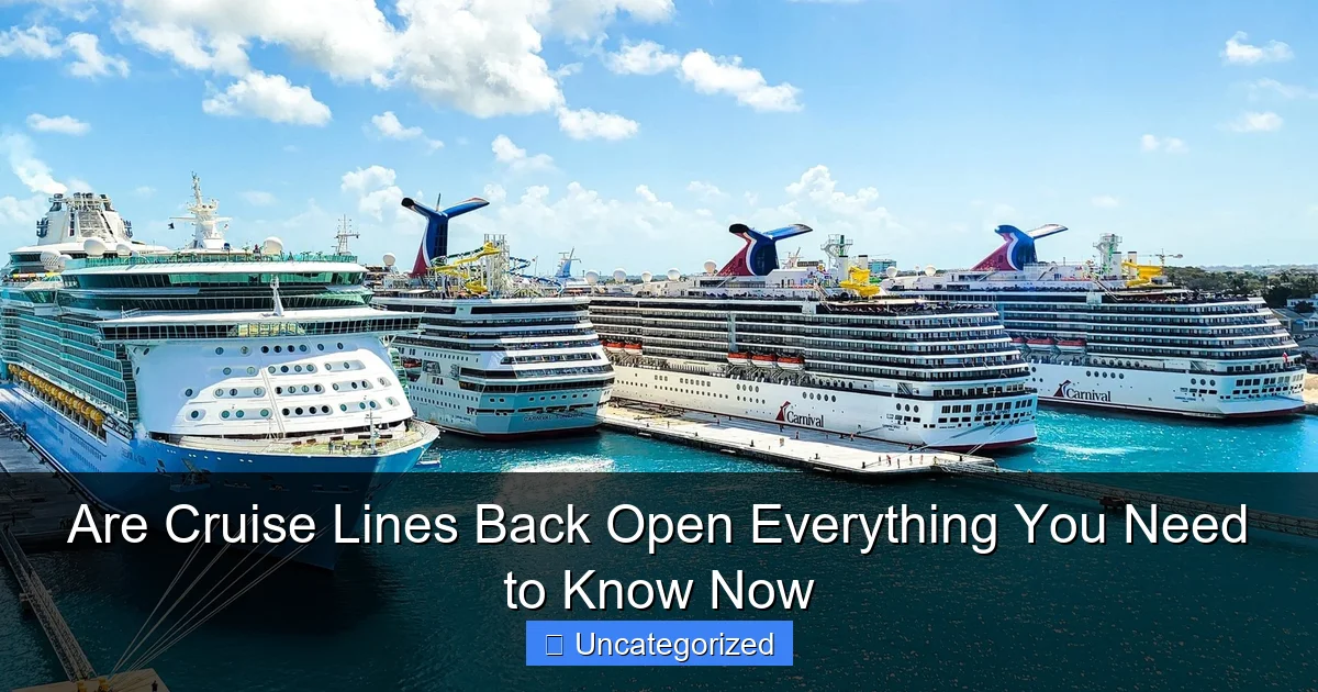 Are Cruise Lines Back Open Everything You Need to Know Now