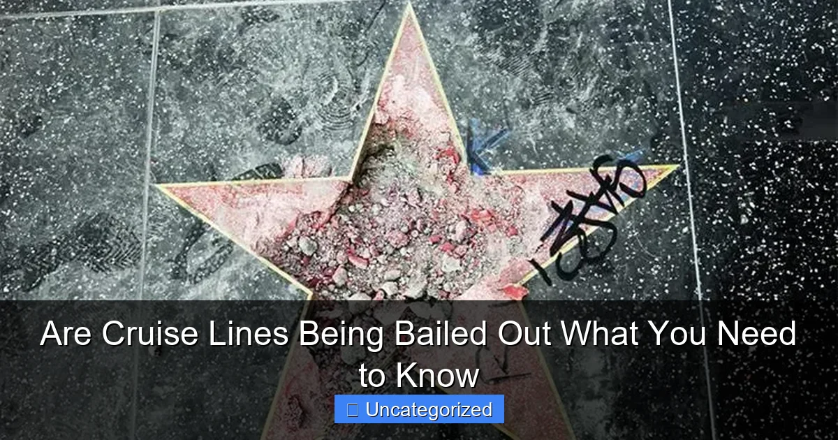 Are Cruise Lines Being Bailed Out What You Need to Know