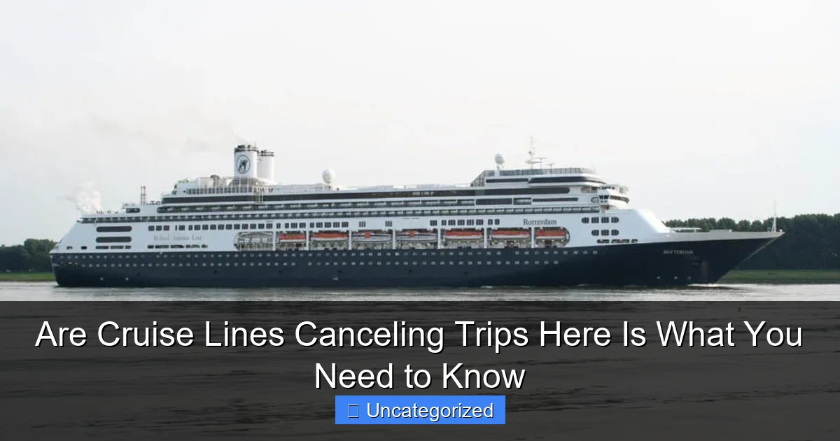 Are Cruise Lines Canceling Trips Here Is What You Need to Know
