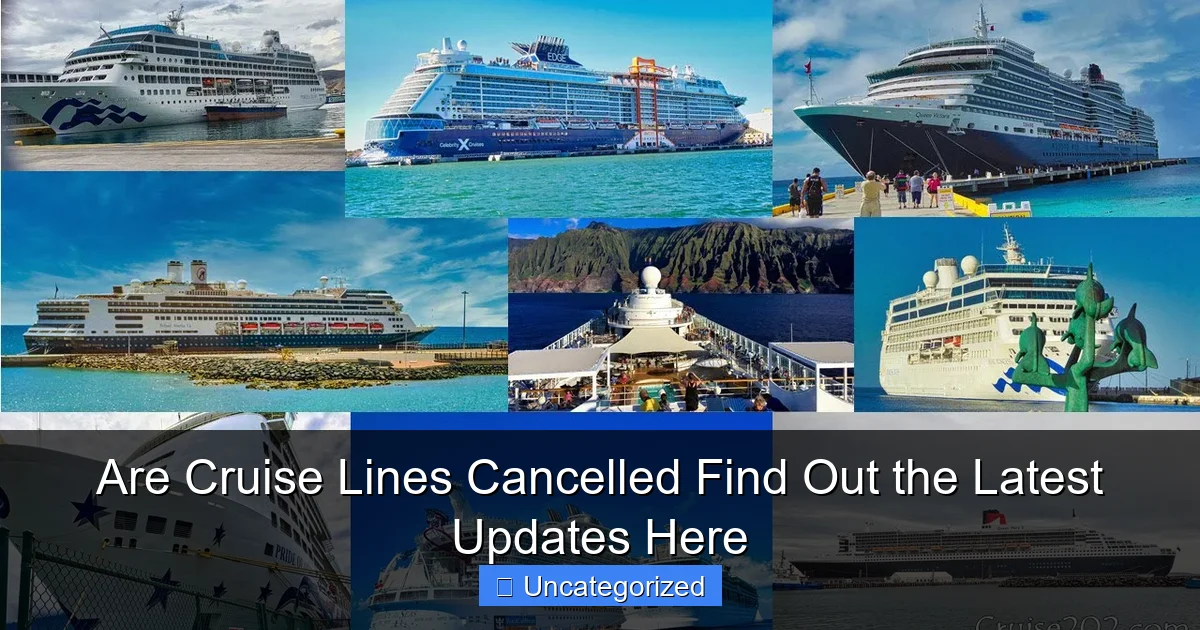 Are Cruise Lines Cancelled Find Out the Latest Updates Here