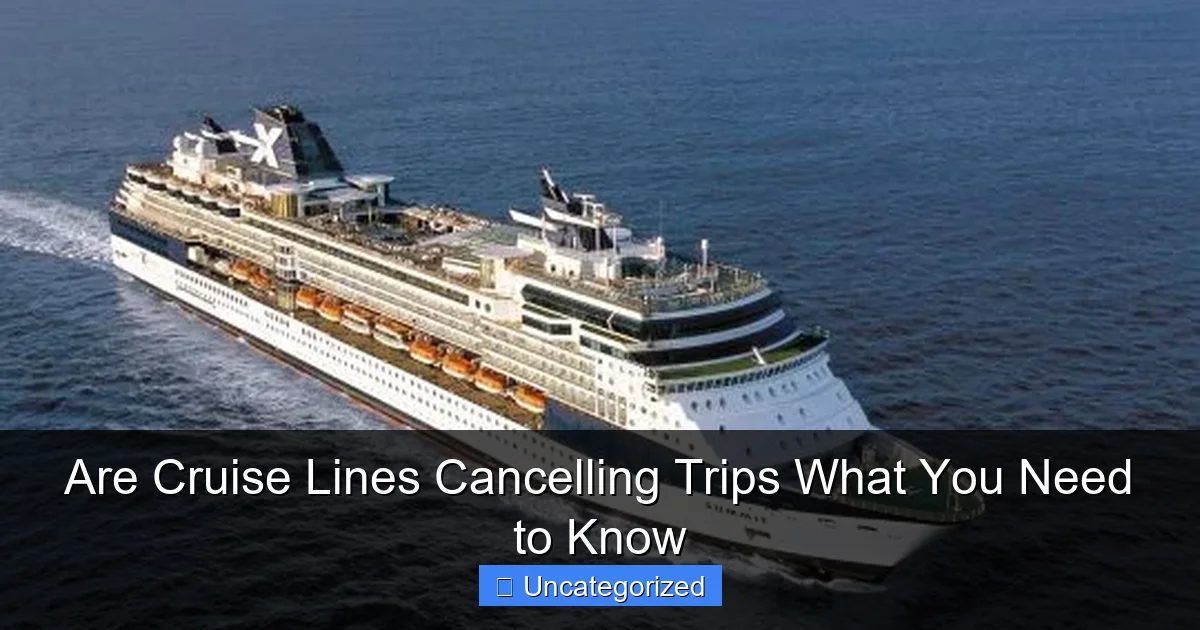 Are Cruise Lines Cancelling Trips What You Need to Know
