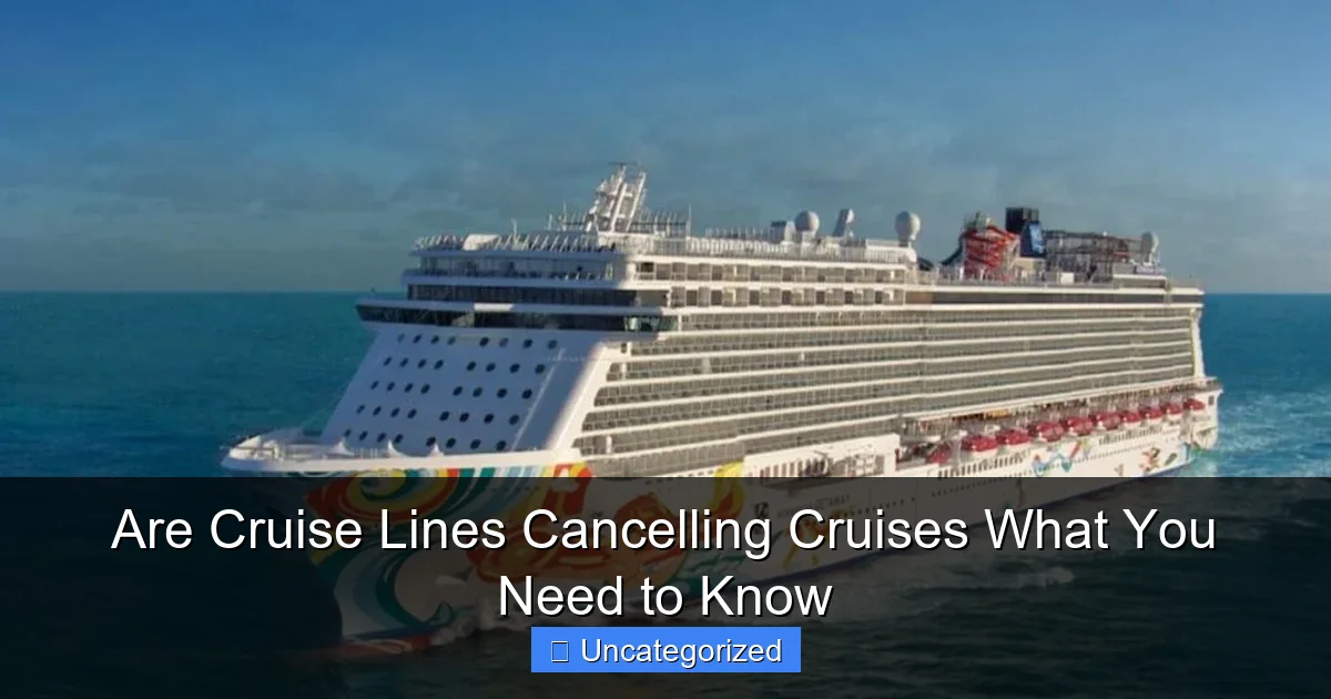 Are Cruise Lines Cancelling Cruises What You Need to Know