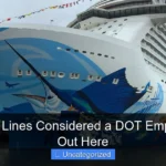 Are Cruise Lines Considered a DOT Employer Find Out Here