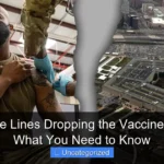 Are Cruise Lines Dropping the Vaccine Mandate What You Need to Know