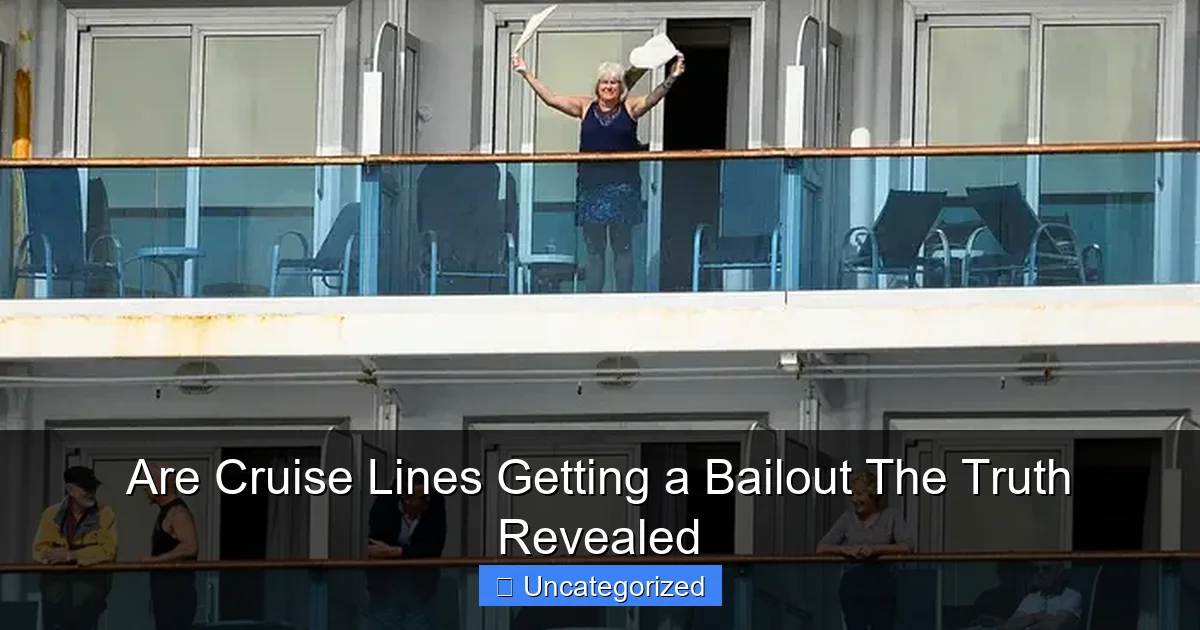 Are Cruise Lines Getting a Bailout The Truth Revealed