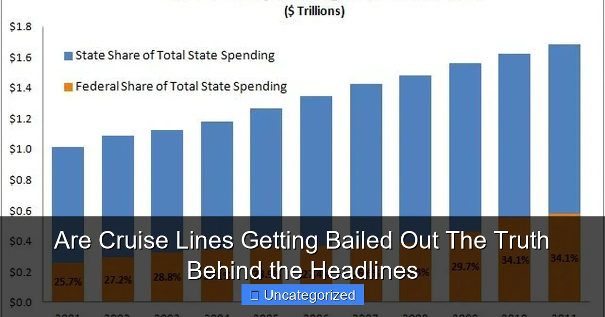 Are Cruise Lines Getting Bailed Out The Truth Behind the Headlines