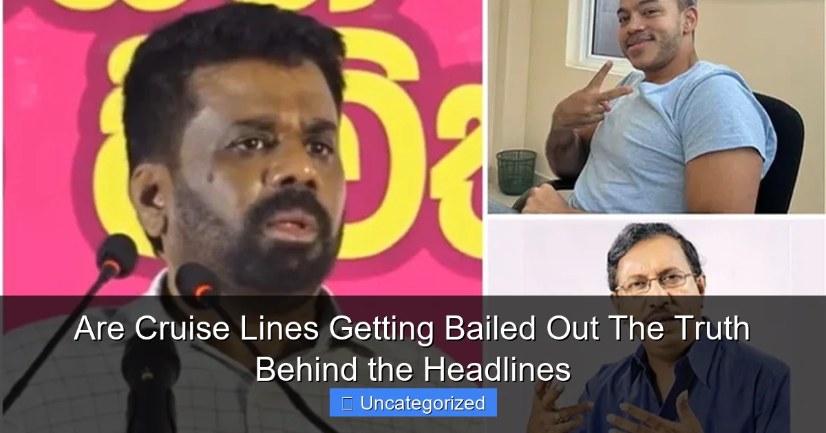 Are Cruise Lines Getting Bailed Out The Truth Behind the Headlines