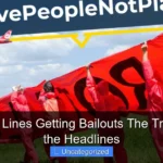 Are Cruise Lines Getting Bailouts The Truth Behind the Headlines