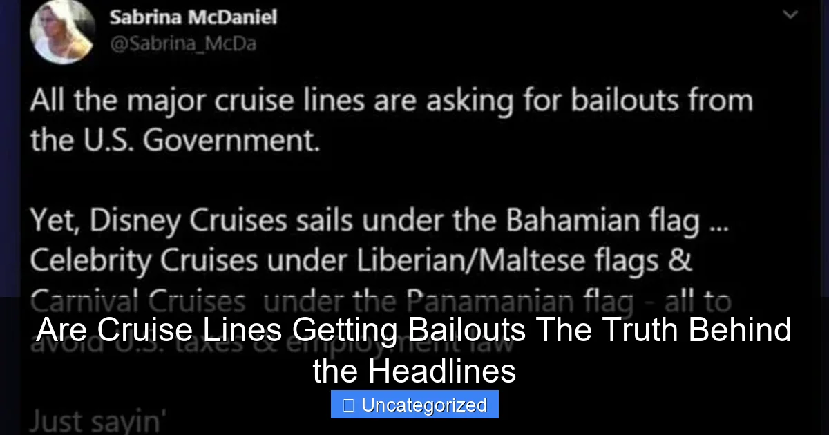 Are Cruise Lines Getting Bailouts The Truth Behind the Headlines
