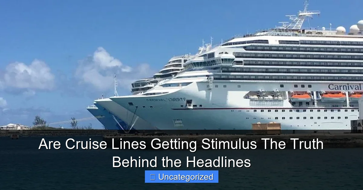 Are Cruise Lines Getting Stimulus The Truth Behind the Headlines