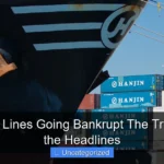 Are Cruise Lines Going Bankrupt The Truth Behind the Headlines