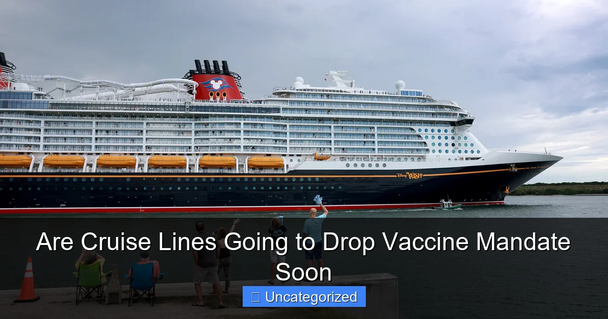 Are Cruise Lines Going to Drop Vaccine Mandate Soon