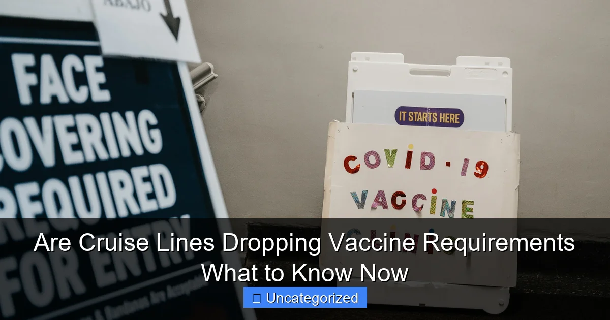 Are Cruise Lines Dropping Vaccine Requirements What to Know Now