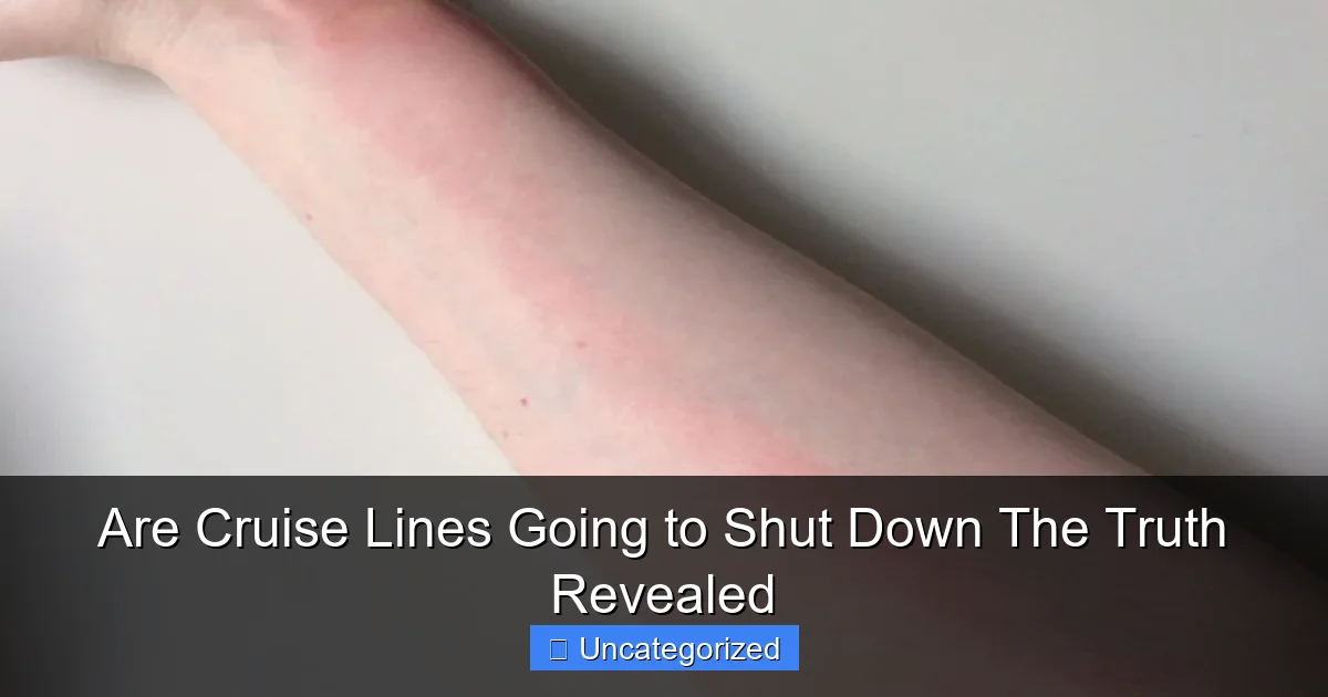 Are Cruise Lines Going to Shut Down The Truth Revealed