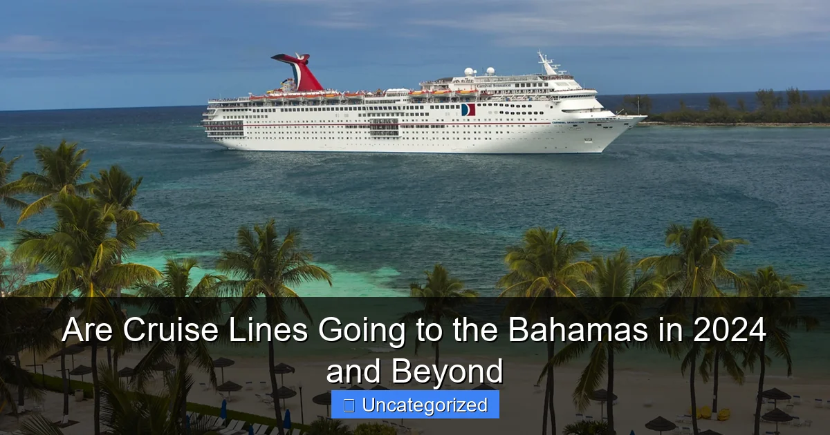 Are Cruise Lines Going to the Bahamas in 2024 and Beyond