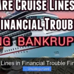 Are Cruise Lines in Financial Trouble Find Out Now