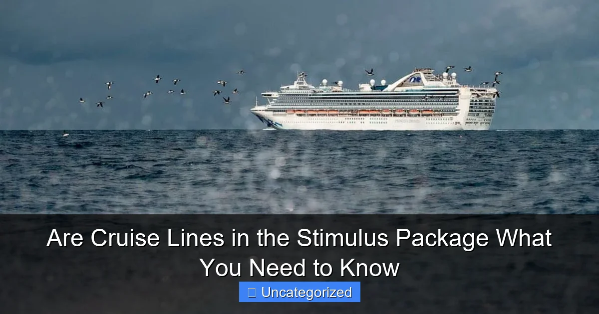 Are Cruise Lines in the Stimulus Package What You Need to Know