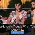 Are Cruise Lines in Trouble What You Need to Know Now