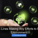 Are Cruise Lines Making Any Efforts to Protect the Environment