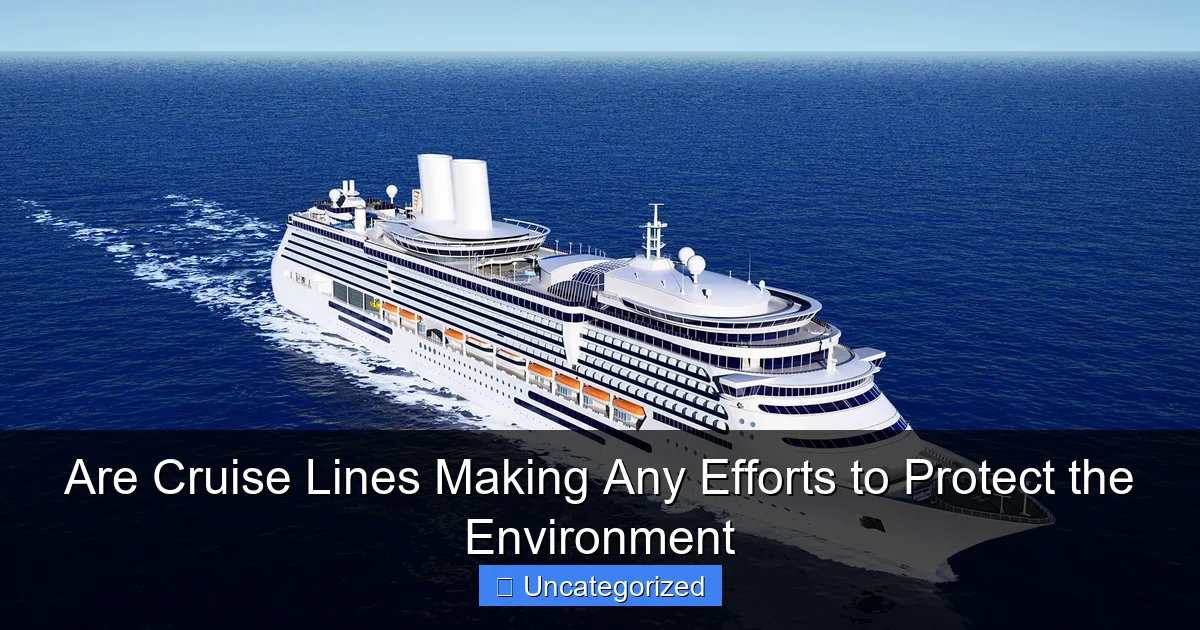 Are Cruise Lines Making Any Efforts to Protect the Environment