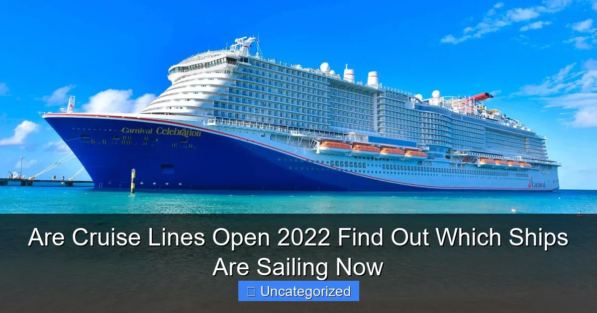 Are Cruise Lines Open 2022 Find Out Which Ships Are Sailing Now