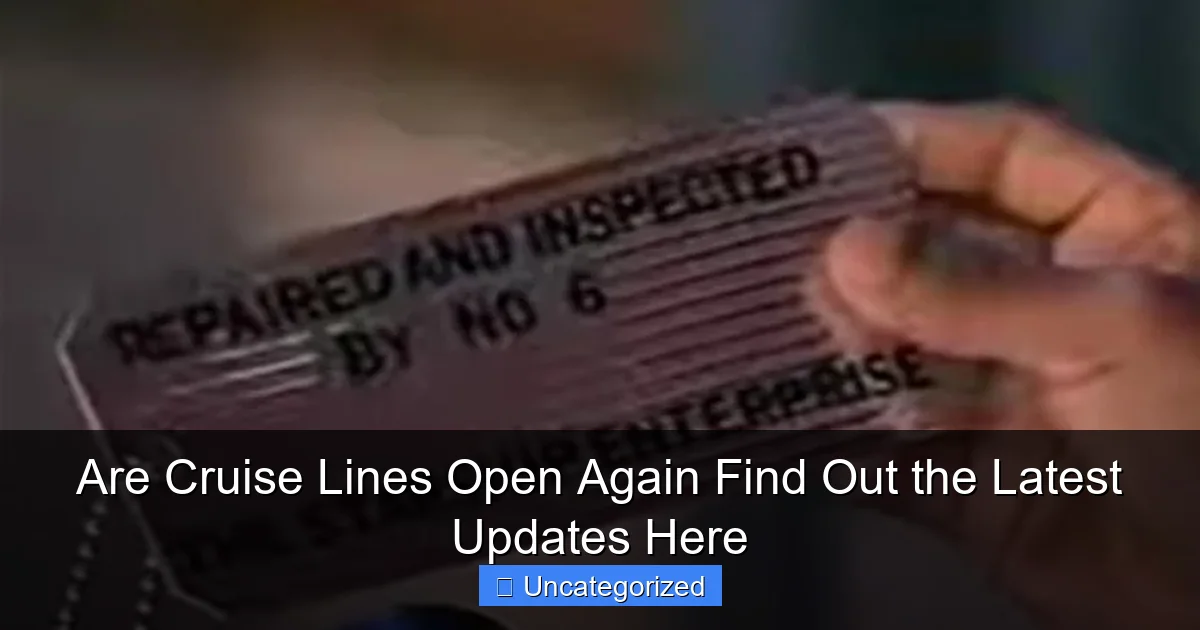 Are Cruise Lines Open Again Find Out the Latest Updates Here