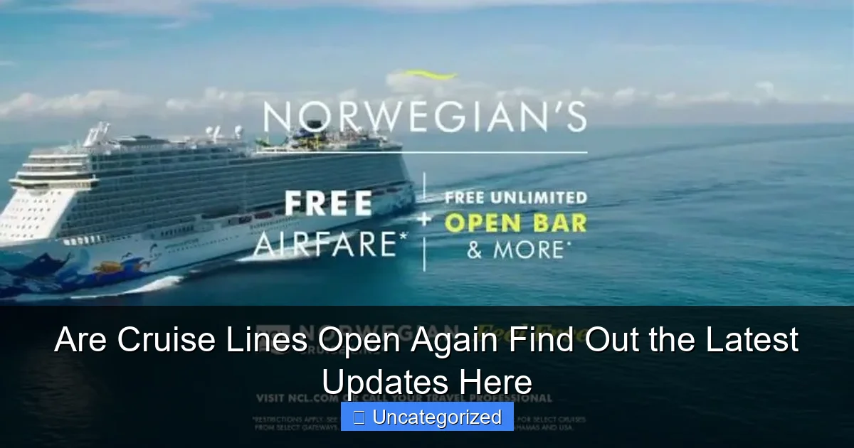 Are Cruise Lines Open Again Find Out the Latest Updates Here