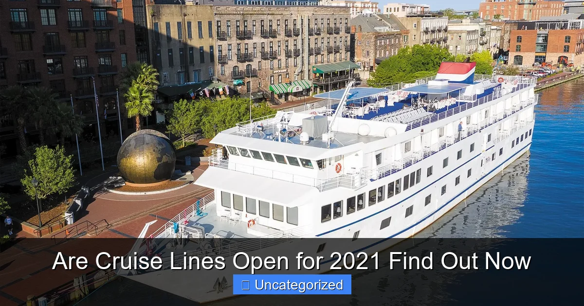 Are Cruise Lines Open for 2021 Find Out Now