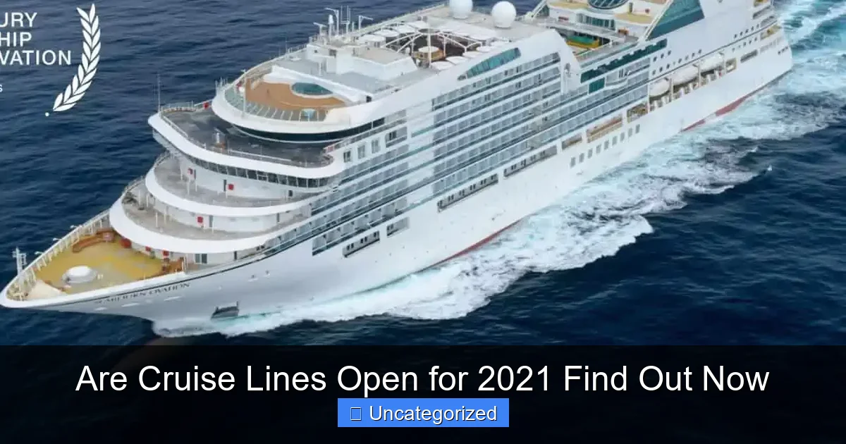 Are Cruise Lines Open for 2021 Find Out Now