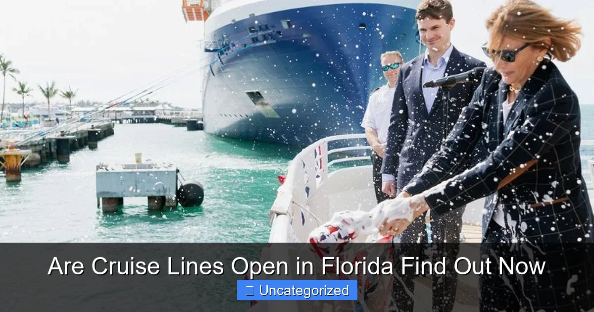 Are Cruise Lines Open in Florida Find Out Now