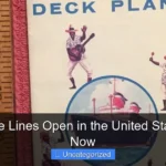 Are Cruise Lines Open in the United States Right Now