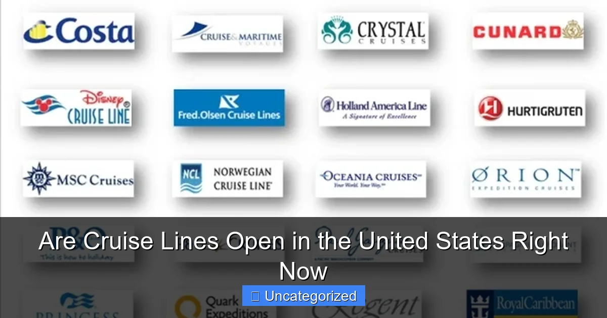 Are Cruise Lines Open in the United States Right Now