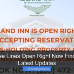 Are Cruise Lines Open Right Now Find Out the Latest Updates