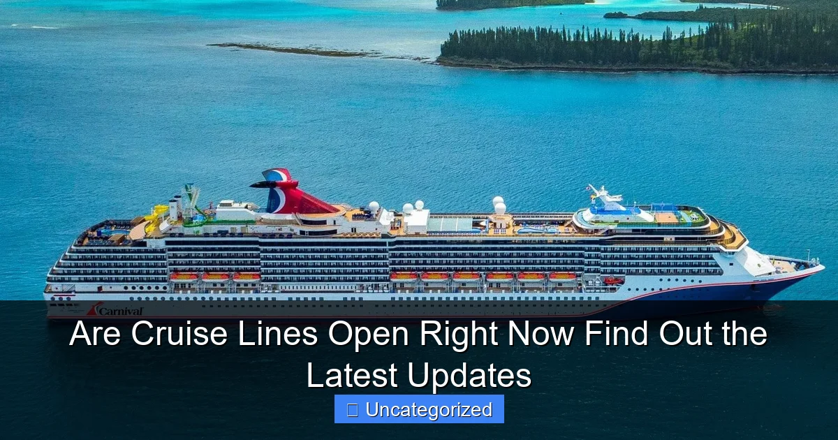 Are Cruise Lines Open Right Now Find Out the Latest Updates