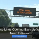 Are Cruise Lines Opening Back Up What You Need to Know