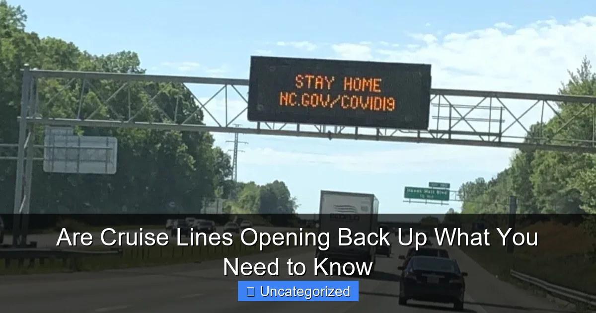 Are Cruise Lines Opening Back Up What You Need to Know