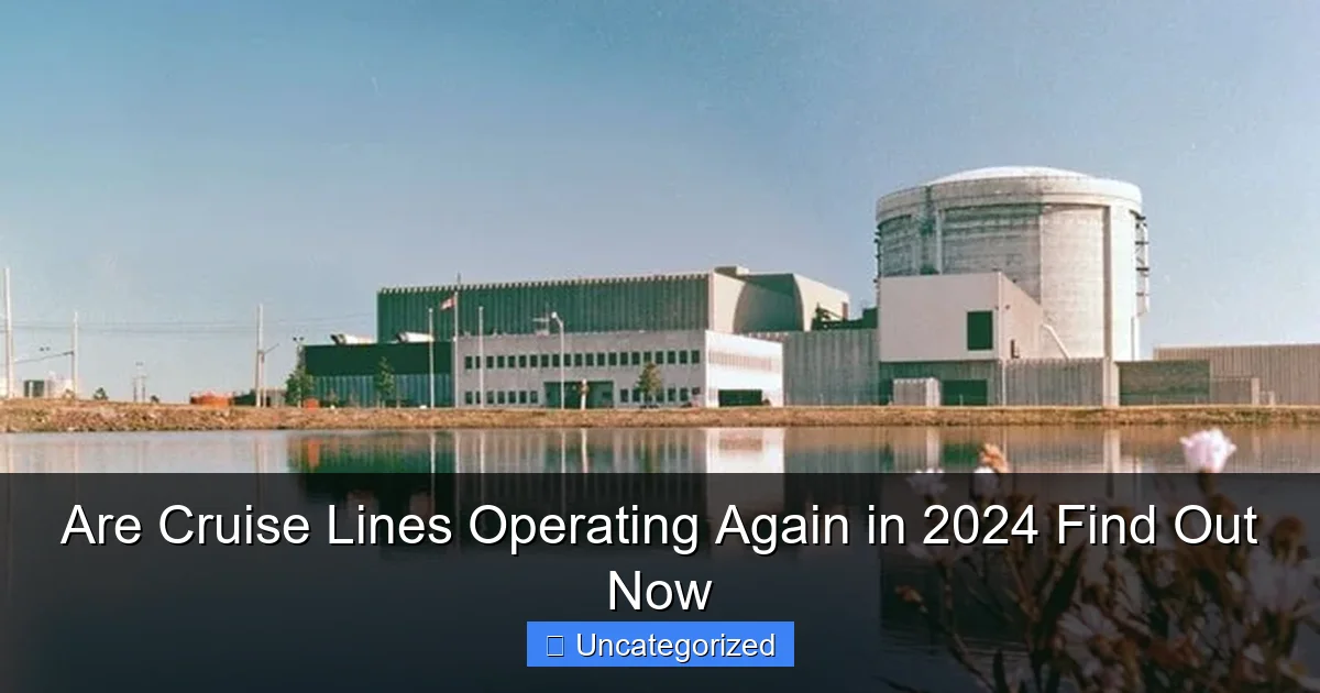 Are Cruise Lines Operating Again in 2024 Find Out Now